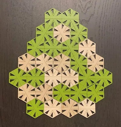 Socolar-Taylor Aperiodic Tiles