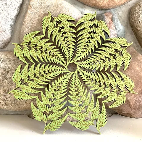 Rosette of the Barnsley Fern - image 1