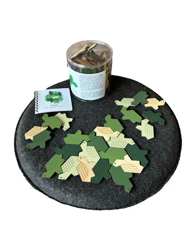 Einstein Turtle Tiles